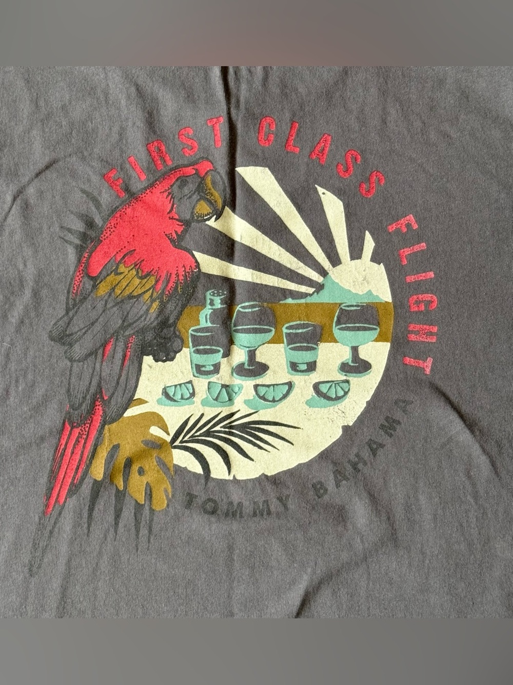Tommy Bahama Relax First Class Flight Graphic T Shirt Men’s XL Gray 100% Cotton - Picture 8 of 8